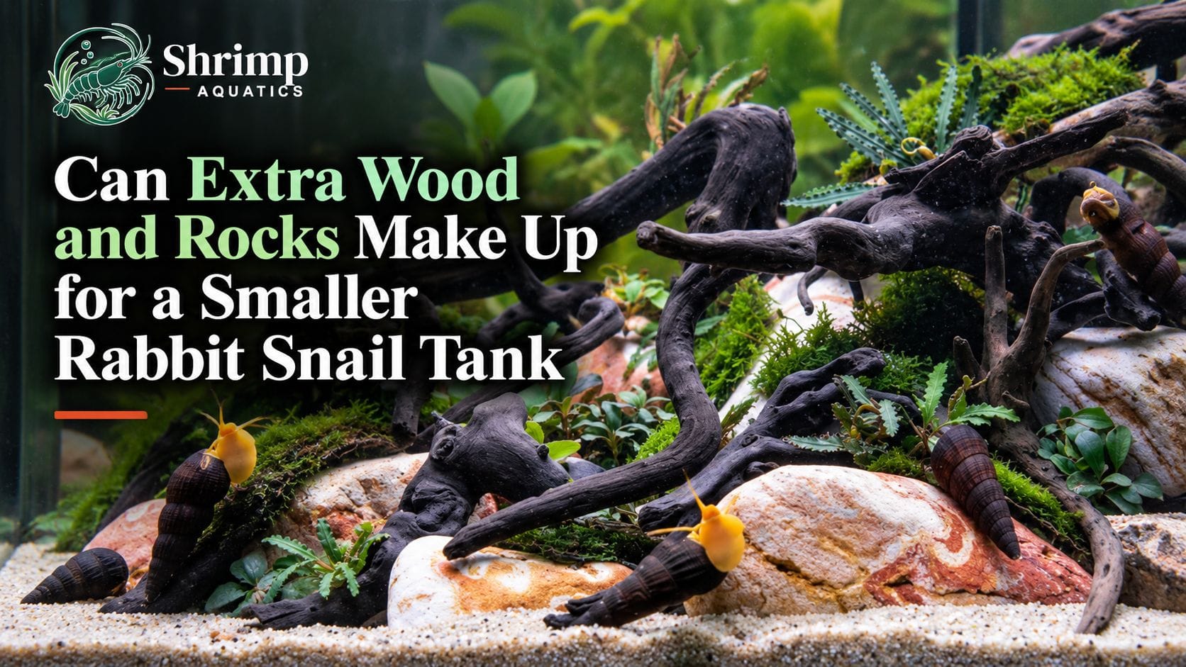 Can Extra Wood and Rocks Make Up for a Smaller Rabbit Snail Tank?