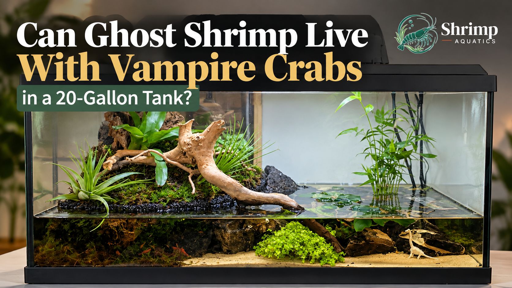 Can Ghost Shrimp Live With Vampire Crabs in a 20-Gallon Tank