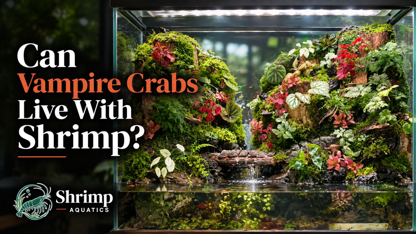 Can Vampire Crabs Live With Shrimp