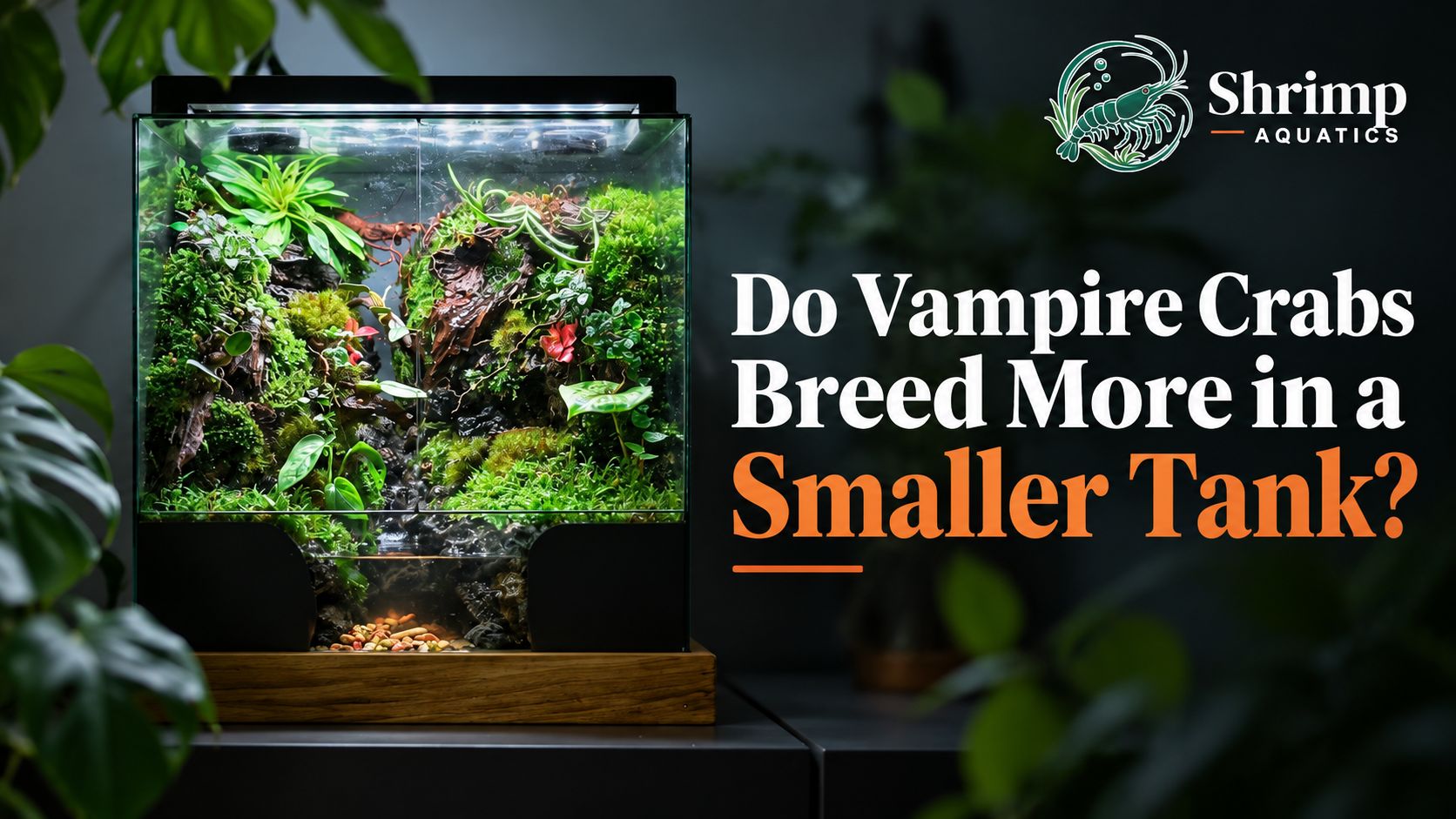 Do Vampire Crabs Breed More in a Smaller Tank