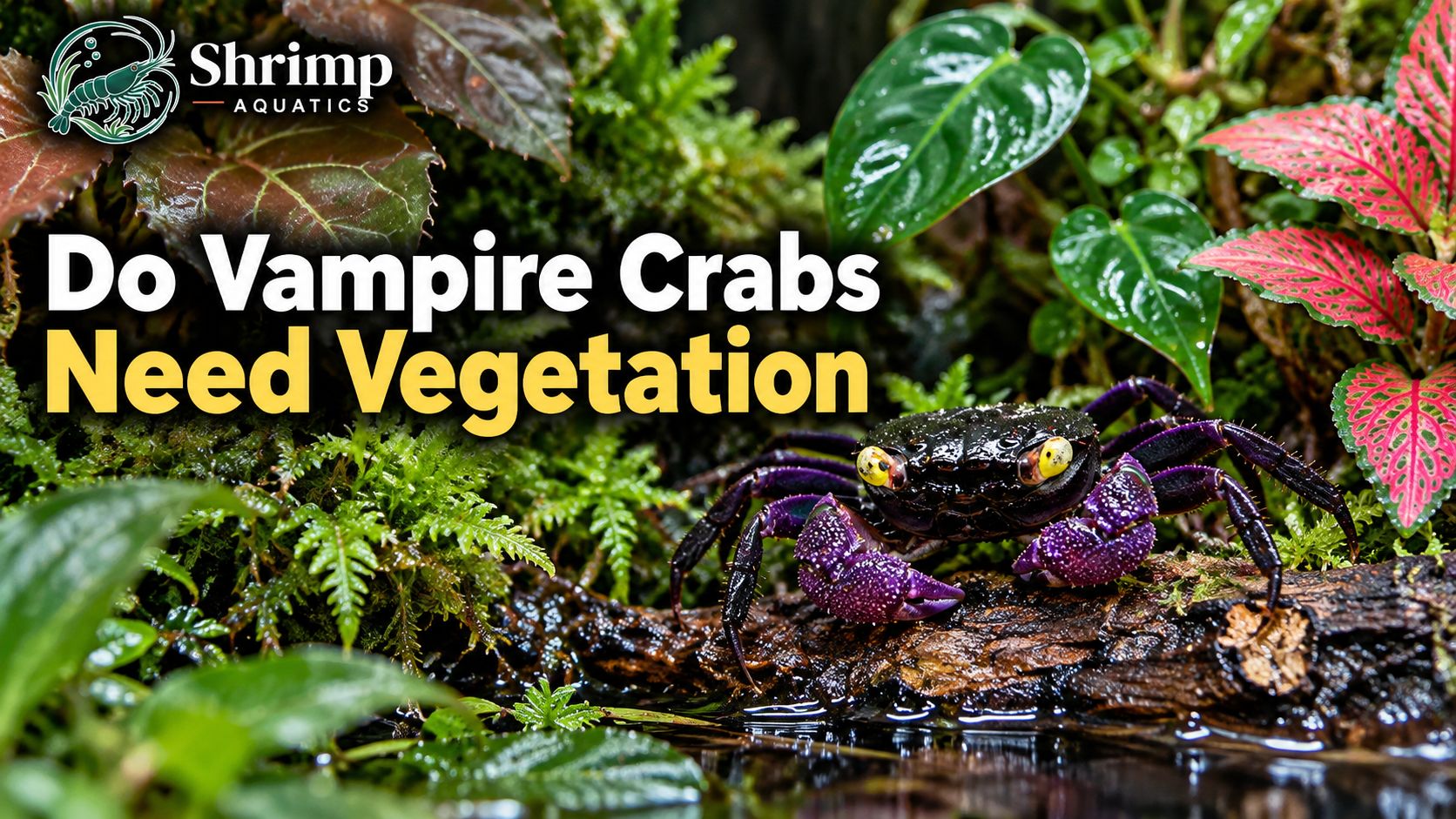 Do Vampire Crabs Need Vegetation