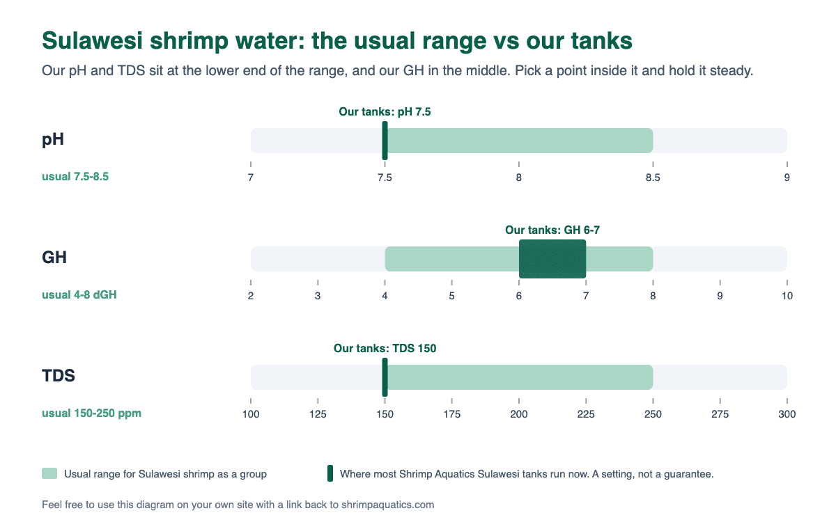 Bar chart of Sulawesi shrimp water. Usual ranges: pH 7.5-8.5, GH 4-8 dGH and TDS 150-250 ppm. Most Shrimp Aquatics Sulawesi tanks currently run at pH 7.5, GH 6-7 dGH and TDS 150 ppm, at the lower end of the pH and TDS ranges.