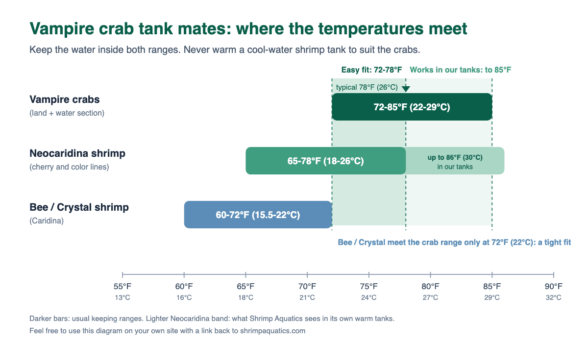 Bar chart of temperature ranges. Vampire crabs 72-85°F (22-29°C). Neocaridina shrimp 65-78°F (18-26°C), with a lighter band up to 86°F (30°C) for Shrimp Aquatics' own warm tanks. Bee and Crystal shrimp 60-72°F (15.5-22°C). Crabs and Neocaridina overlap at 72-78°F; Bee and Crystal shrimp meet the crab range only at 72°F.